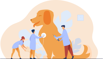 pet-care-2
