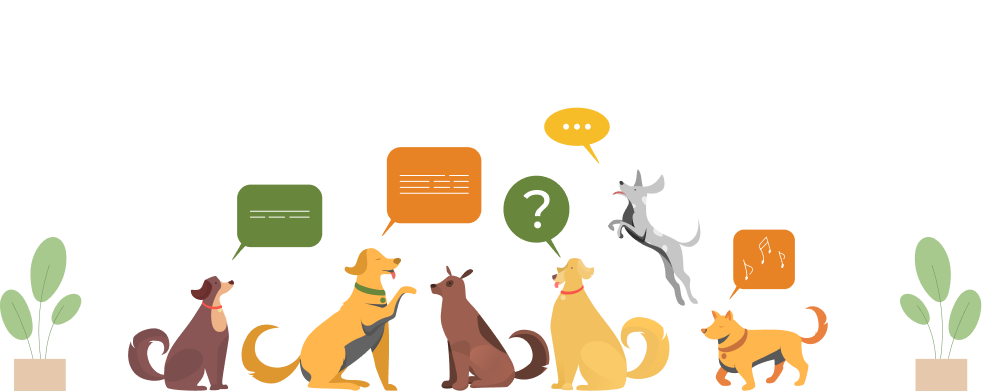 faq-jaguarr